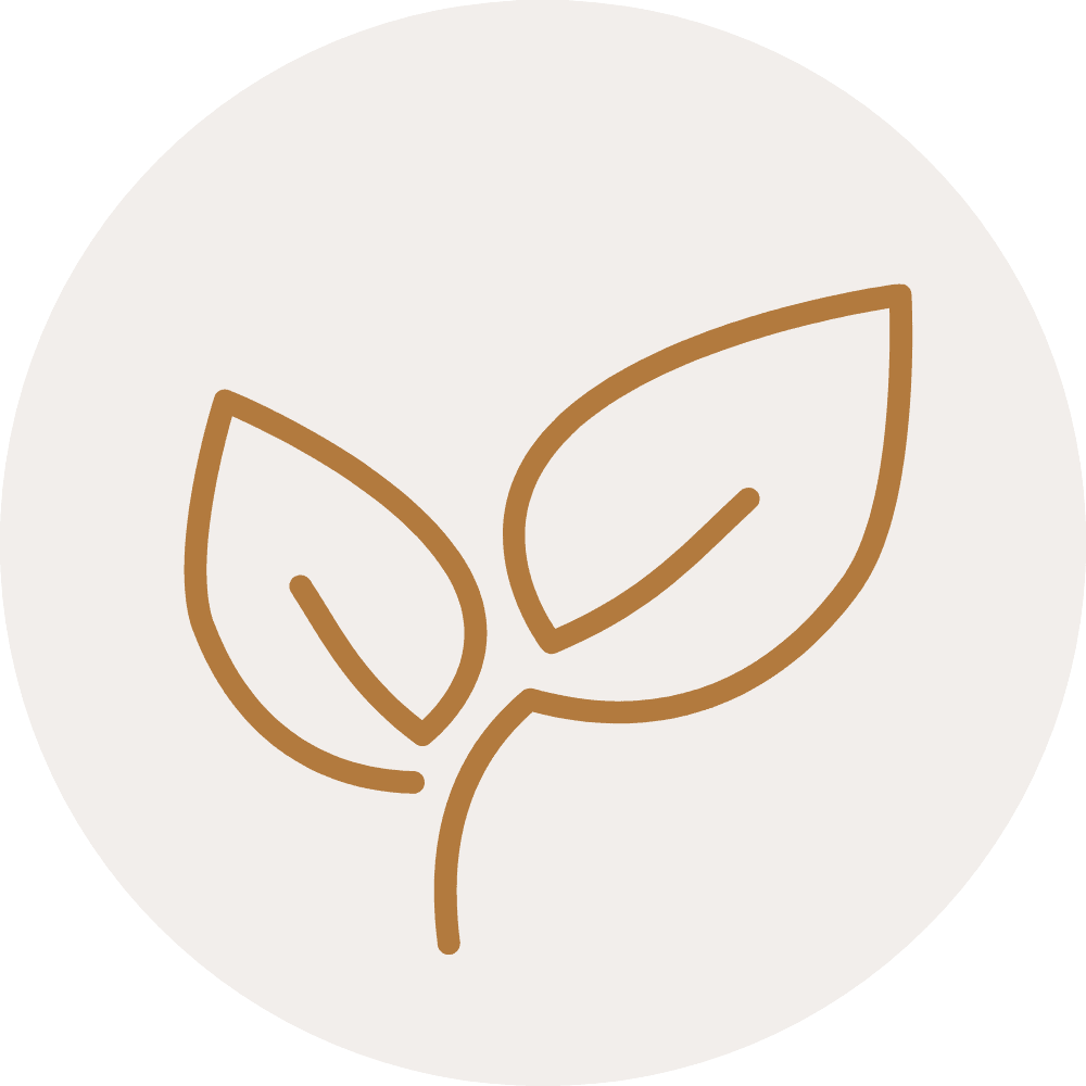 Icon Wert Umweltschutz, Bild von einem Setzling, Website Manager Empaweb by Nicole